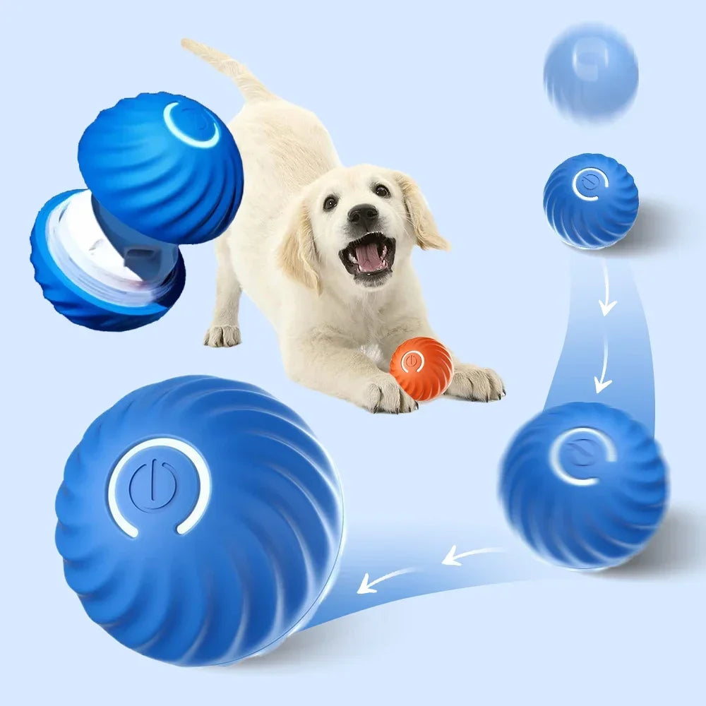 Smart Automatic Moving Ball for Dogs |